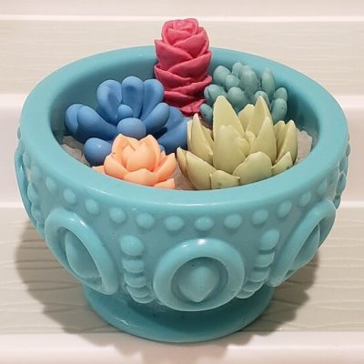 pottery_soap_succulents