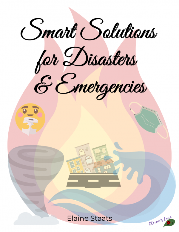 cover page for a book showing disasters