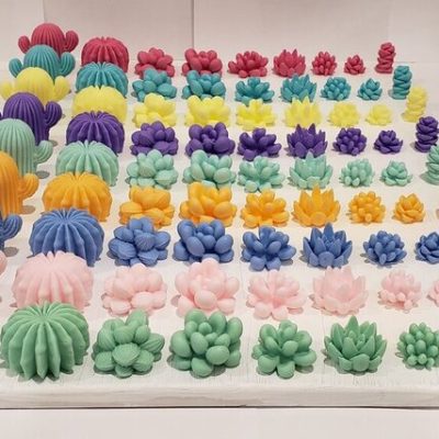 9 rows of different colored soaps shaped like cacti and succulents